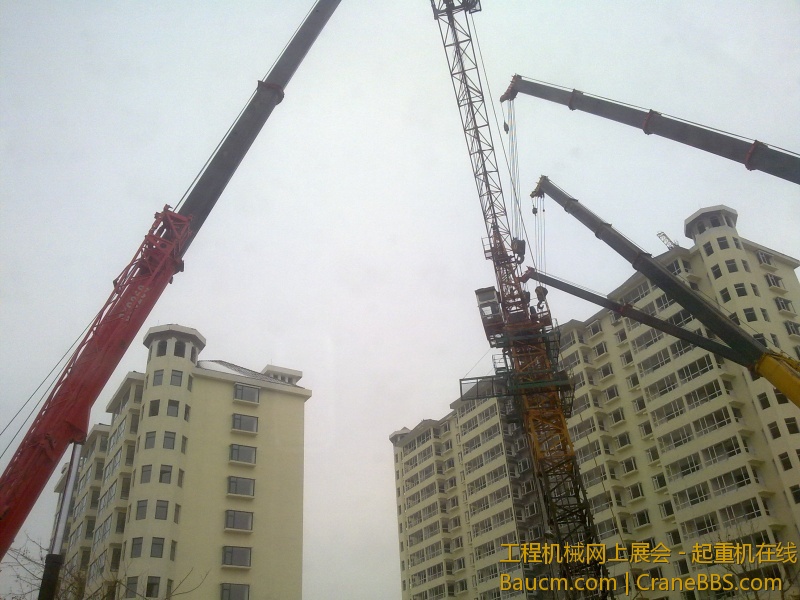 20130126229.jpg