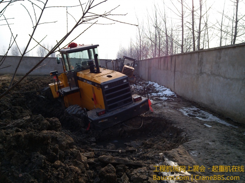 IMG_20130104_100004.jpg