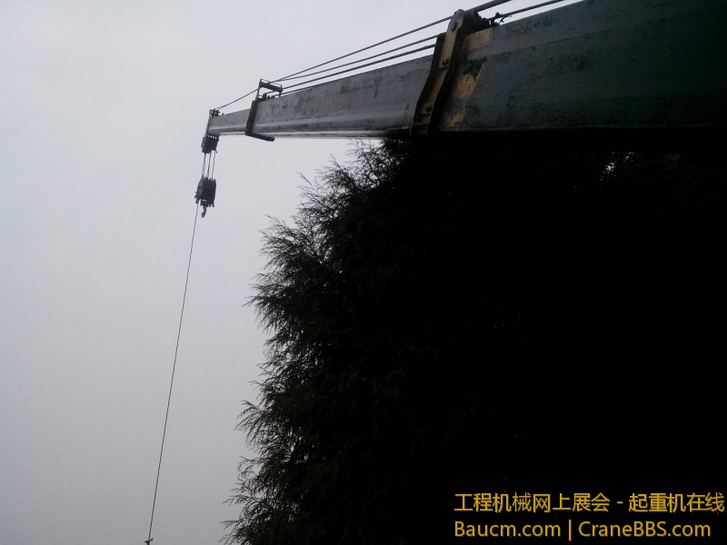 IMG_20130129_112909.jpg