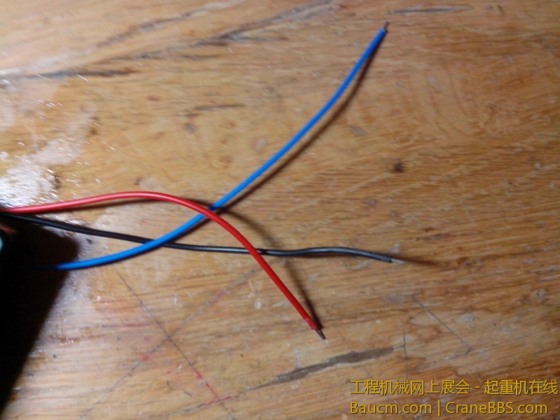 IMG20130131012.jpg