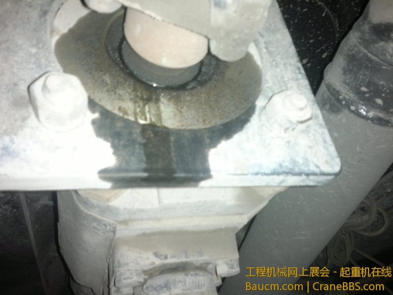 20121126473.jpg