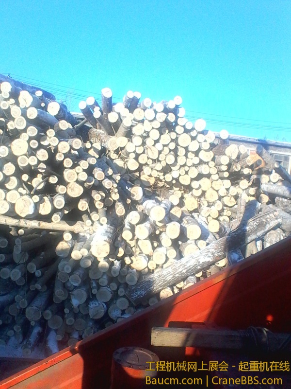 IMG_20130202_083111.jpg