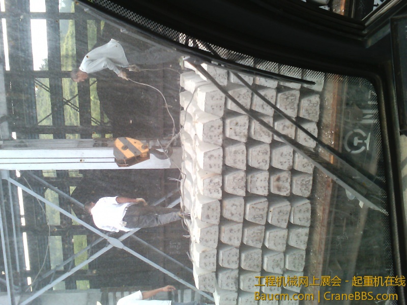 IMG_20120911_130154.jpg