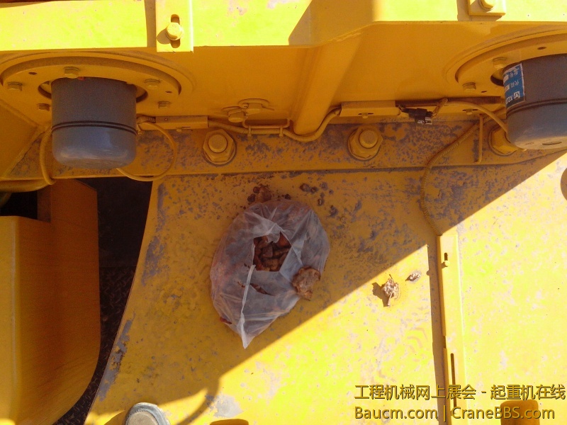 IMG20130202004.jpg