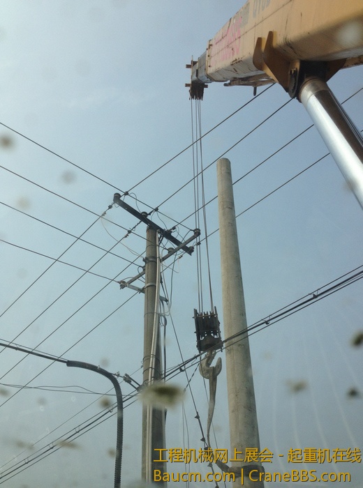 nEO_IMG_毛毛 498.jpg