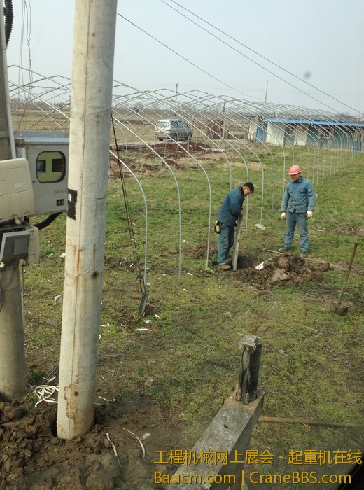 nEO_IMG_毛毛 499.jpg