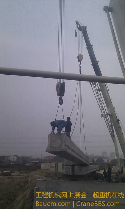 nEO_IMG_毛毛 384.jpg