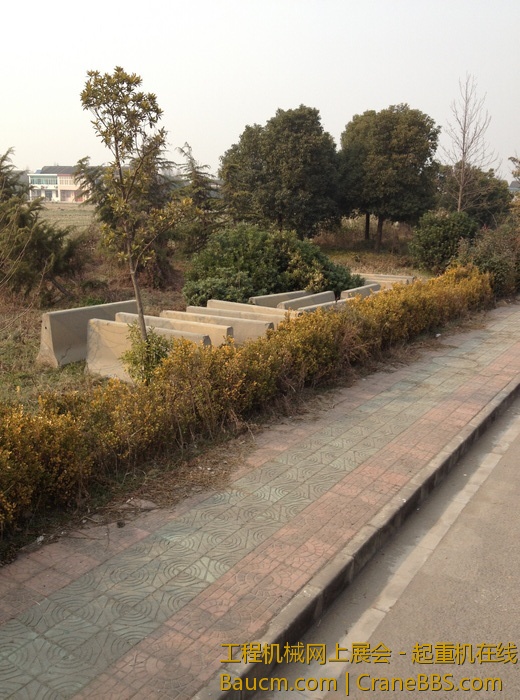 nEO_IMG_毛毛 351.jpg