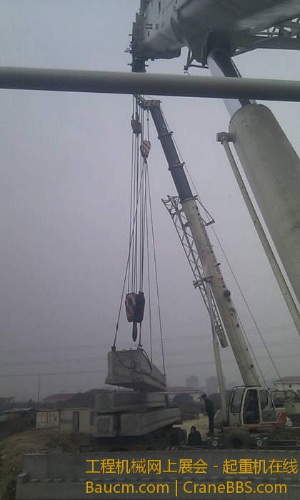 nEO_IMG_毛毛 385.jpg