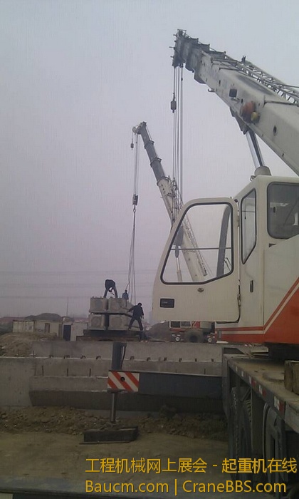 nEO_IMG_毛毛 387.jpg