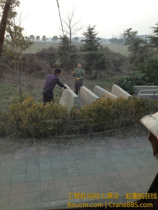 nEO_IMG_毛毛 359.jpg