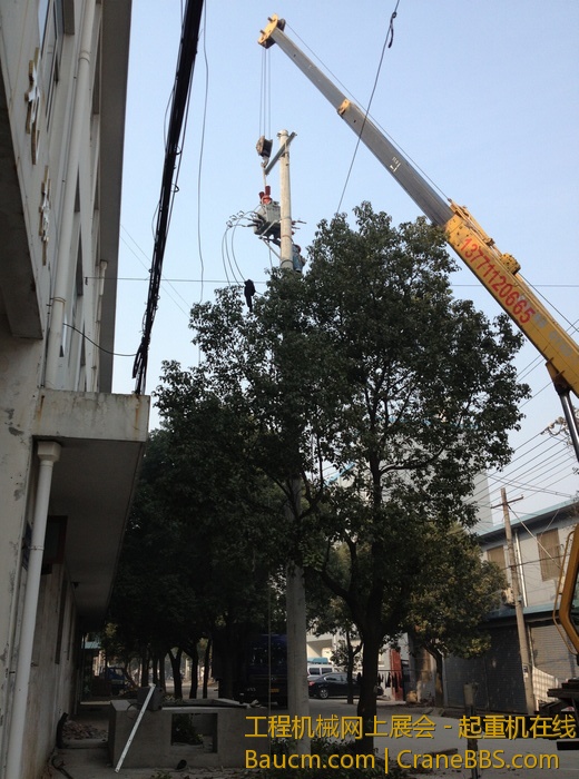 nEO_IMG_毛毛 390.jpg