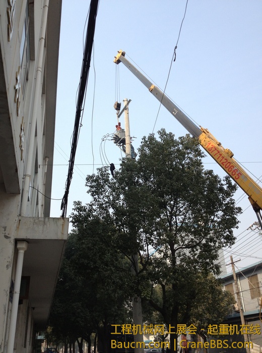 nEO_IMG_毛毛 391.jpg