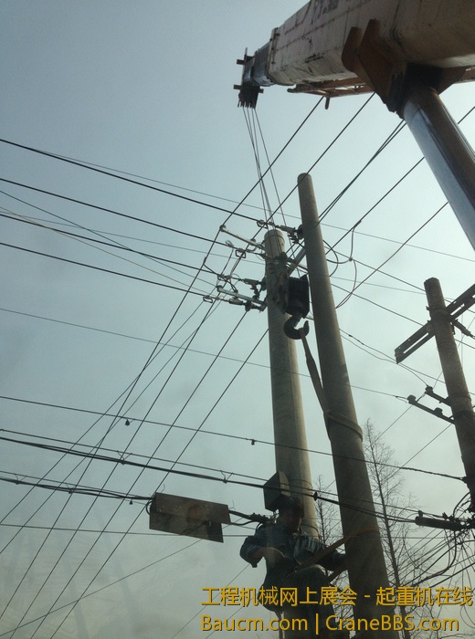 nEO_IMG_毛毛 394.jpg