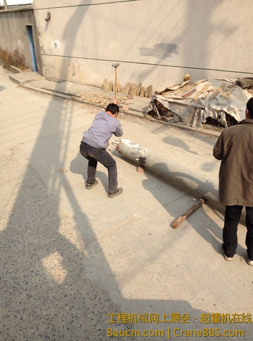 nEO_IMG_毛毛 400.jpg