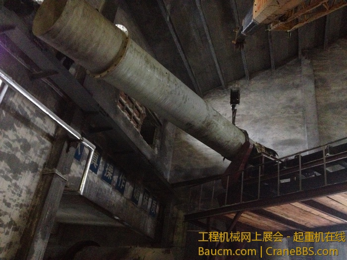 nEO_IMG_毛毛 478.jpg