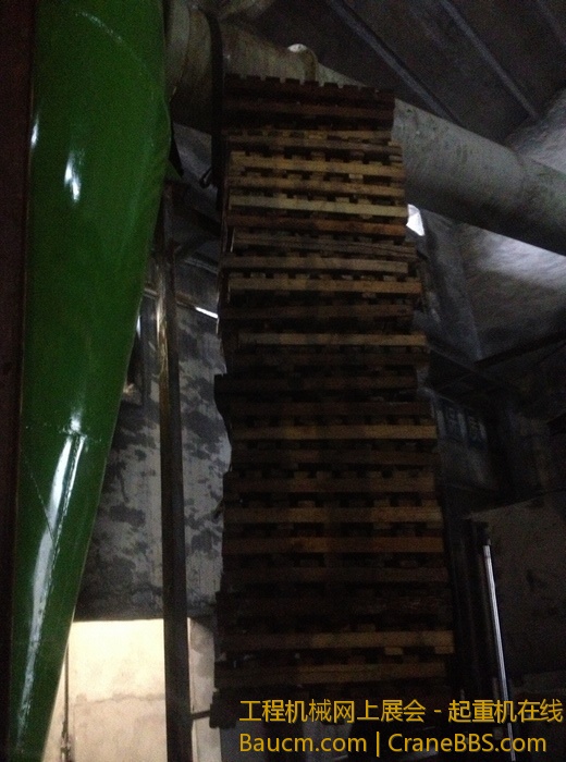 nEO_IMG_毛毛 480.jpg