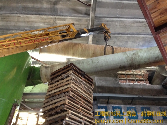 nEO_IMG_毛毛 493.jpg