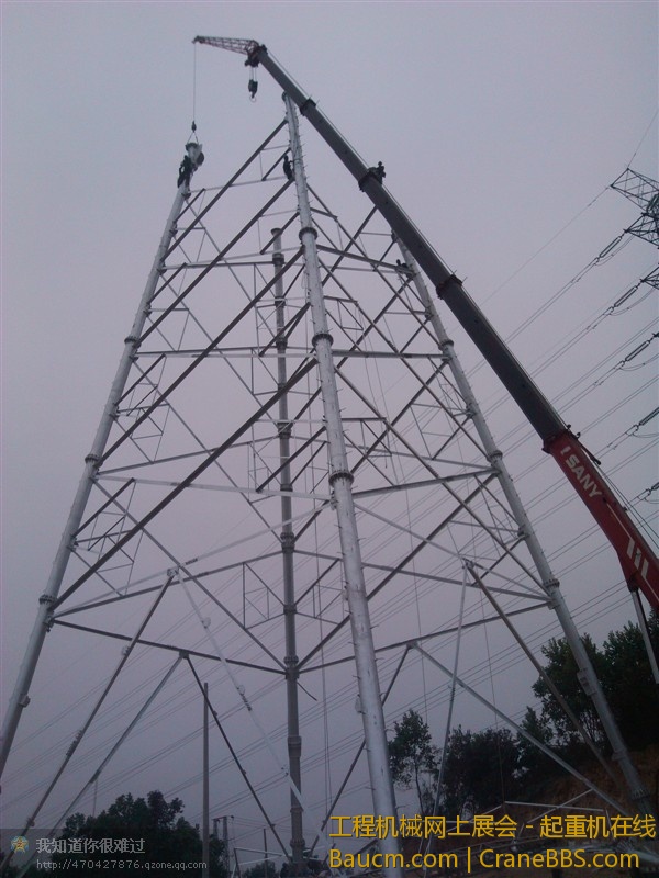 855274.jpg