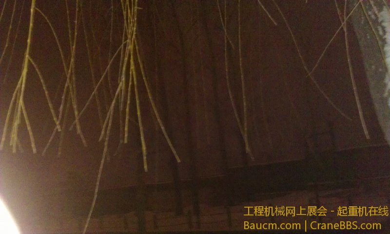 IMAG0213.jpg