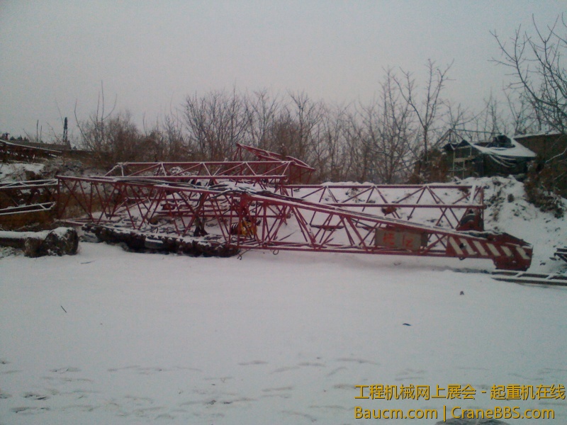 IMG_20130203_102820.jpg