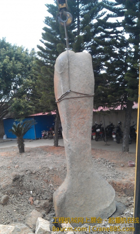 IMAG1255.jpg