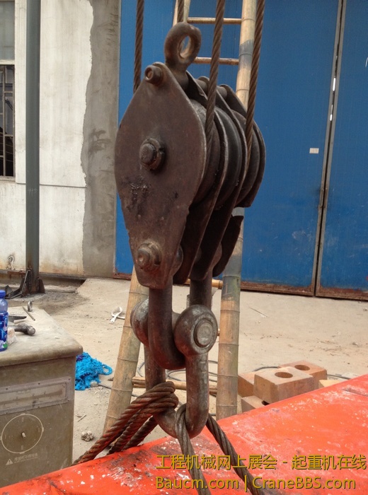 nEO_IMG_毛毛 260.jpg