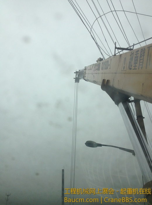 nEO_IMG_毛毛 280.jpg