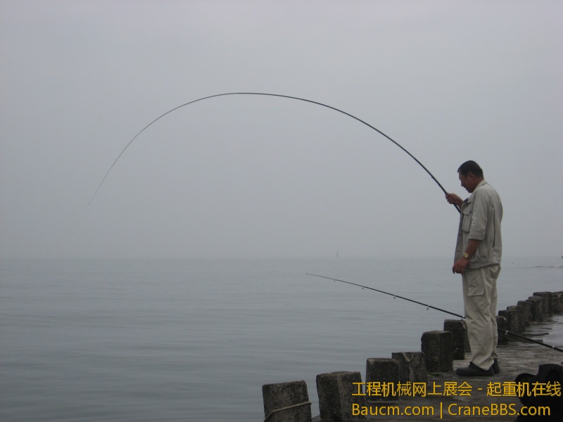 IMG_2422.jpg