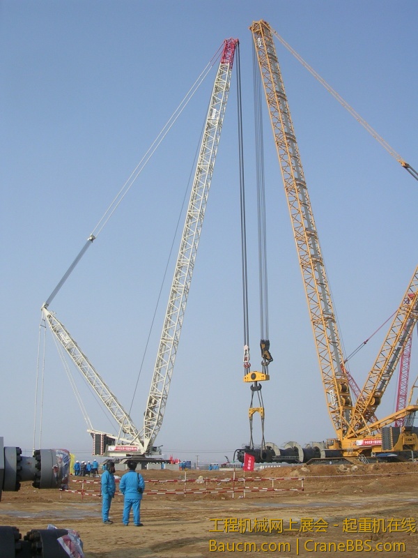 DSCN8453.JPG
