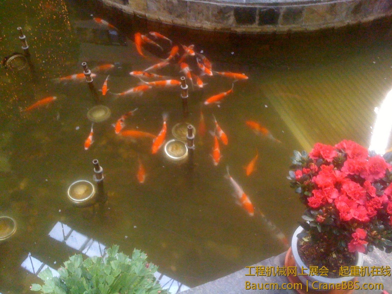 手机照片 1298.jpg