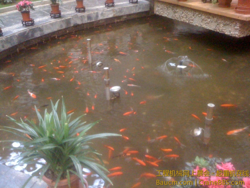 手机照片 1310.jpg