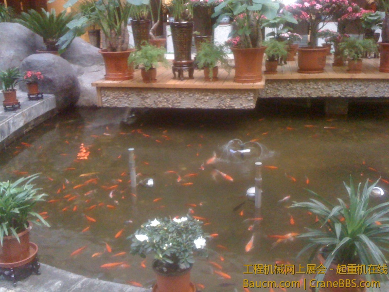 手机照片 1297.jpg