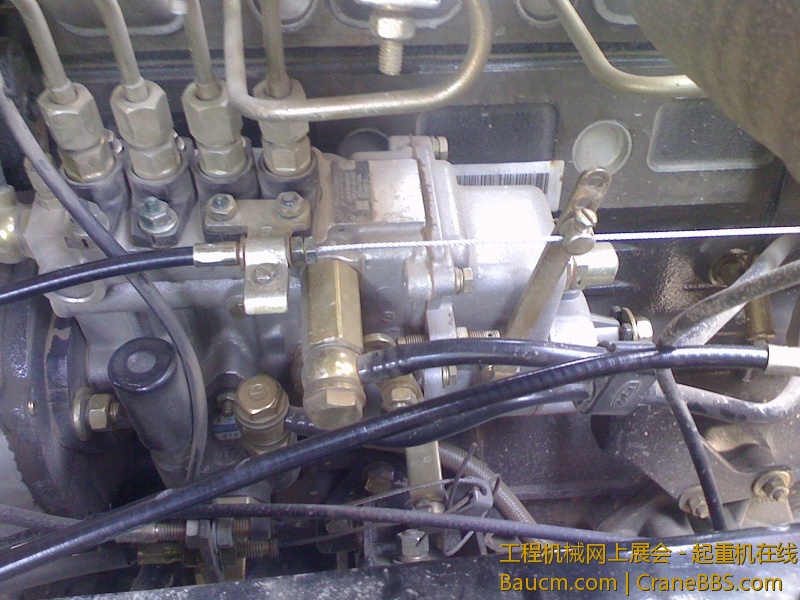 IMG0413115502.jpg