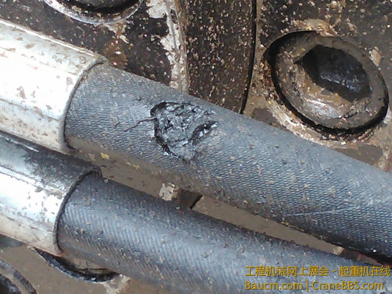 IMG408.jpg