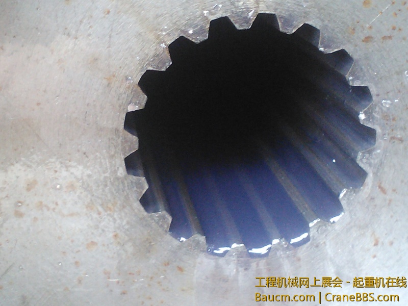 IMG413.jpg