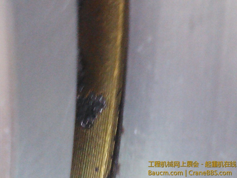 IMG415.jpg