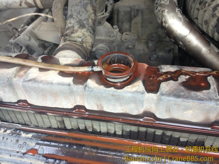 nEO_IMG_毛毛 271.jpg