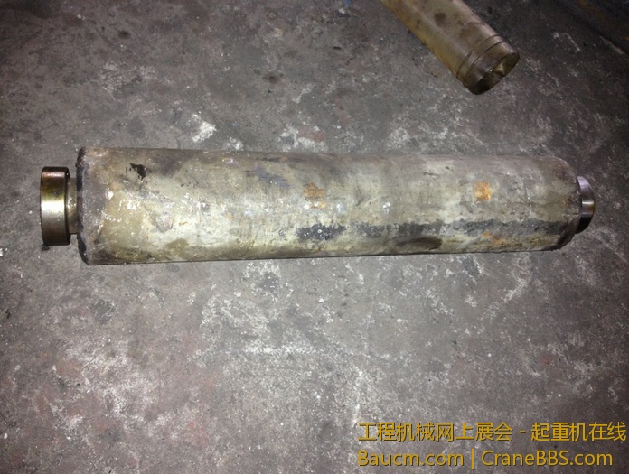 nEO_IMG_毛毛 446.jpg