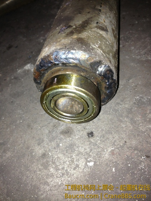 nEO_IMG_毛毛 447.jpg