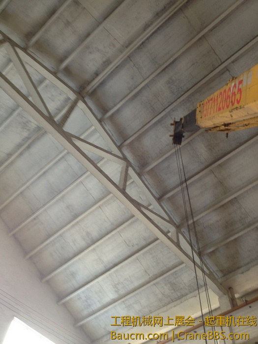 nEO_IMG_毛毛 451.jpg