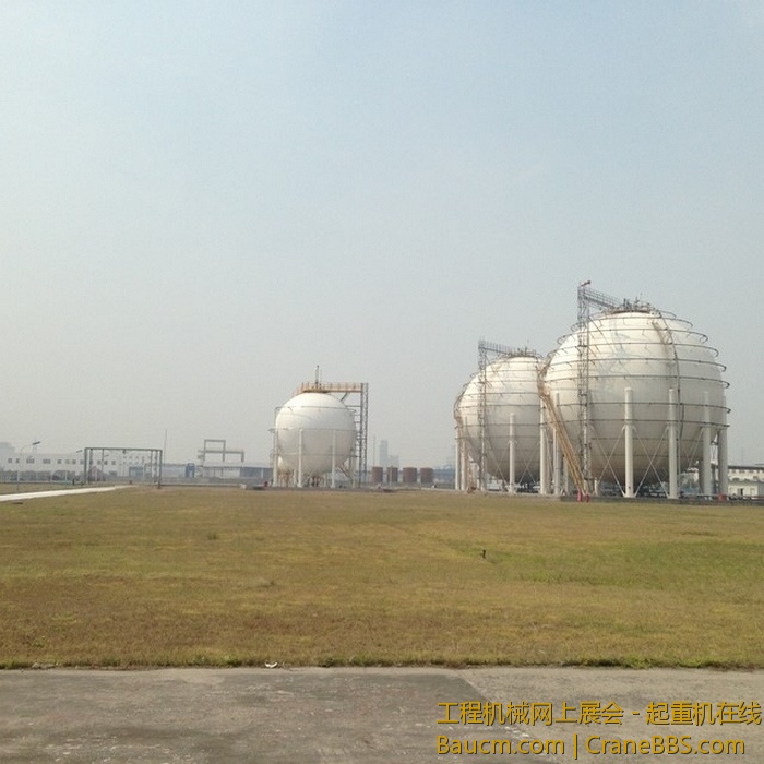 nEO_IMG_毛毛 414.jpg