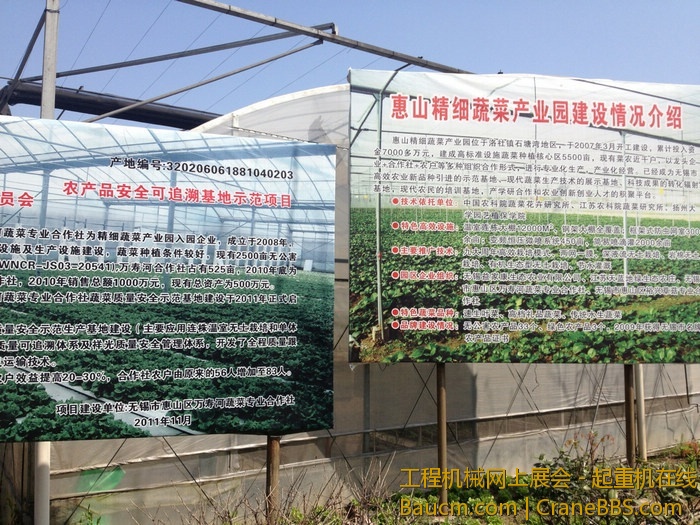 nEO_IMG_毛毛 433.jpg