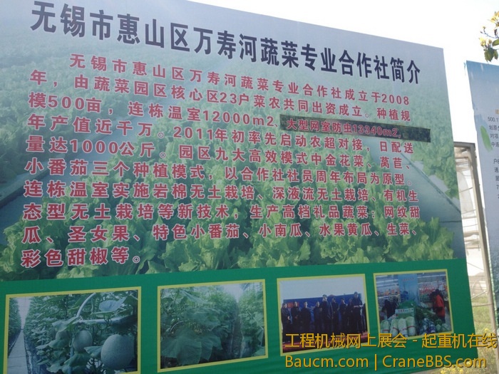 nEO_IMG_毛毛 434.jpg