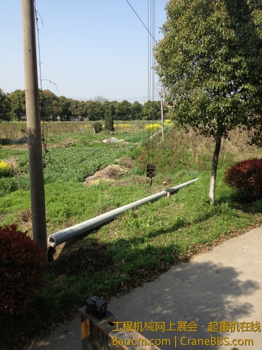 nEO_IMG_毛毛 429.jpg