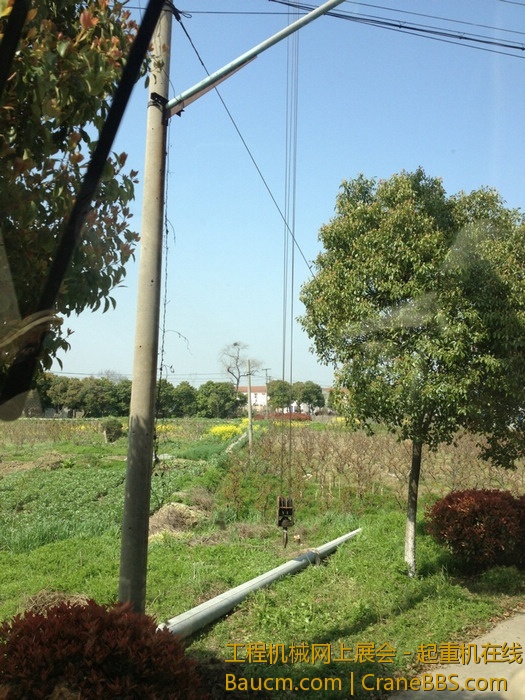 nEO_IMG_毛毛 430.jpg