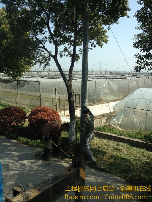 nEO_IMG_毛毛 431.jpg