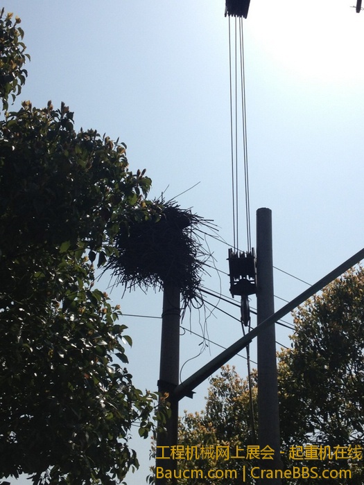 nEO_IMG_毛毛 432.jpg