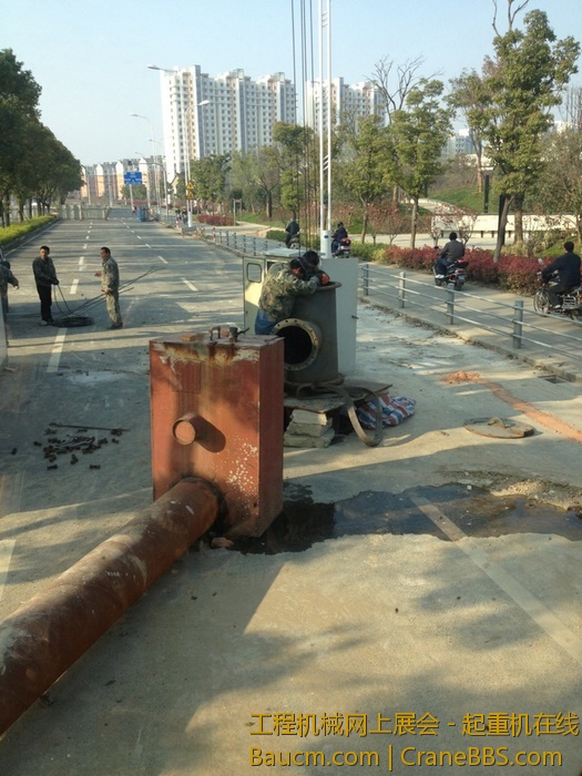 nEO_IMG_毛毛 515.jpg