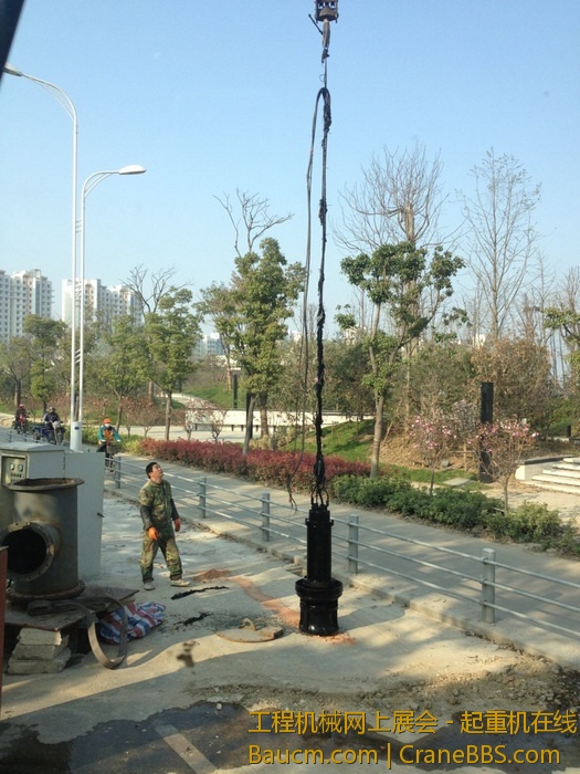 nEO_IMG_毛毛 516.jpg